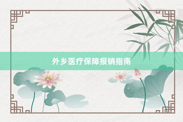 外乡医疗保障报销指南