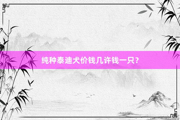 纯种泰迪犬价钱几许钱一只？